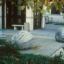 3 Pumpkins / Virginia Beach