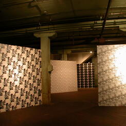 Xeroxable Wall Patterns, Area 405, 2007