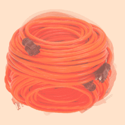 Red Nest
