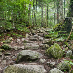 Appalachian Trail