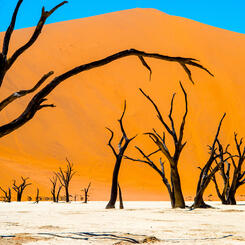 Deadvlei