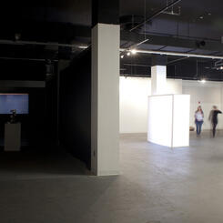 Installation shot of SCANSION (2012) 