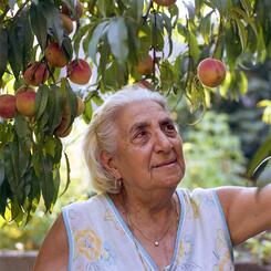 Rosa Vasta's Backyard