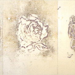 Rose Triptych