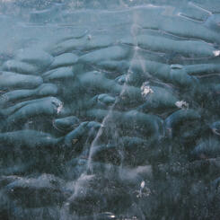 Oblongs, Cape Royds, Antarctica 