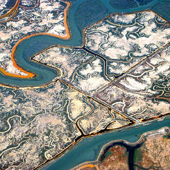Redwood City, California