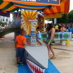 Battleship Duck Pond