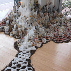 Subtle Disturbance detail 2