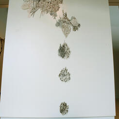 Subtle Disturbance 1