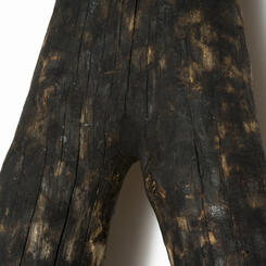 The Shroud (detail of burnt wood crotch)