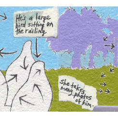 Bird Watching