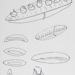 Sketch - Evolution of the Pinch Pot