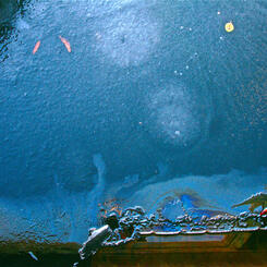 Starry Night in the River 