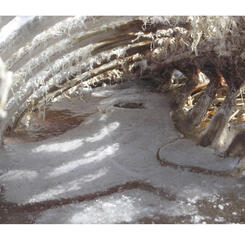 Still Life Winter #1