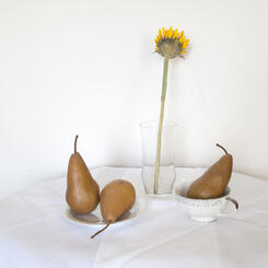 stilllifepearssunflower.jpg