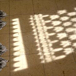 Zoe Friedman Primavera