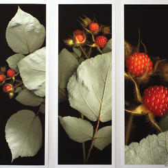 triptych: food for some