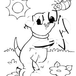 sunshinepup_coloradj.jpg