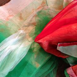 One Million Signituare Campaign