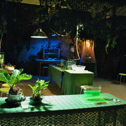 Set Design: Survive!