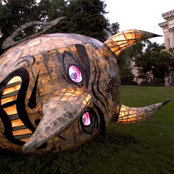 The Root....(blue-eyed)