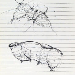 Sketch - Topographic Vessel