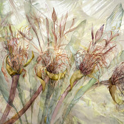 Toxic Beauty, Queen Emma