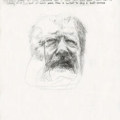 Study - TR (Bull Moose)