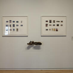 Treading on Sea, on Sky