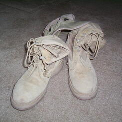 Image and story received for Sole Connection