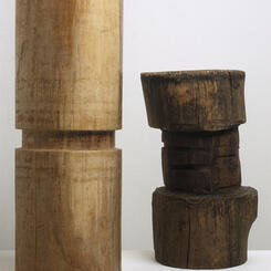 Twins: Form and Function