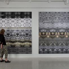 Zoe Friedman Alchemy/Chemistry (installation view)