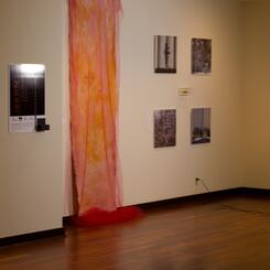 Facing the Wall Protest Performance 2011