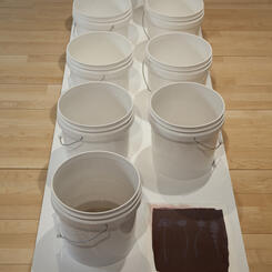 Installation, Detail: â??Water, collected from leaking faucets, is used to facilitate the printing of 1 (one) unfixed salt print, recollected, and then used to water dandelions.â?