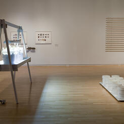 Installation: â??Water, collected from leaking faucets, is used to facilitate the printing of 1 (one) unfixed salt print, recollected, and then used to water dandelions.â?