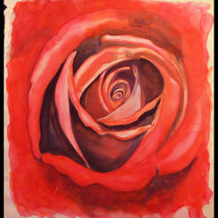 watercolor-rose-study.jpg