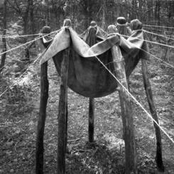 Society #4 in the woods