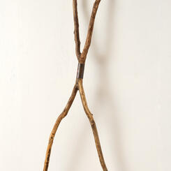 What Makes Us Human? 