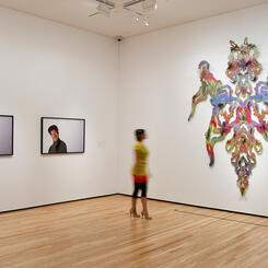 Install view 