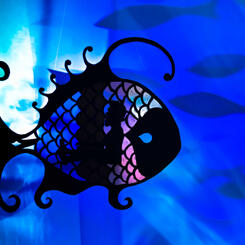 Wye Oak video - Fish