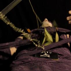 xonian-love-stills2.jpg