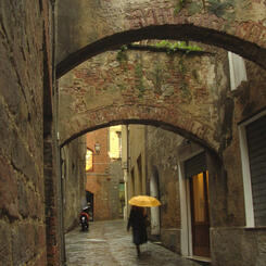 Yellow Umbrella (Siena)