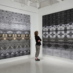 Zoe Friedman Alchemy/Chemistry (installation view)