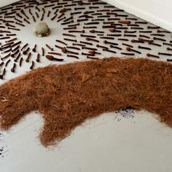 Zoe Friedman Impermanence and Memory