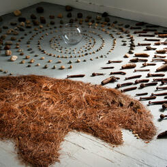 Zoe Friedman Impermanence and Memory