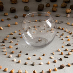 Zoe Friedman Impermanence and Memory