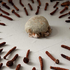 Zoe Friedman Impermanence and Memory