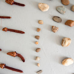 Zoe Friedman Impermanence and Memory