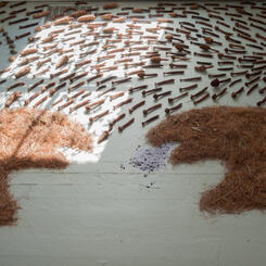 Zoe Friedman Impermanence and Memory