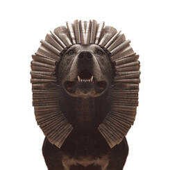 the Sphinx in Paper Hats